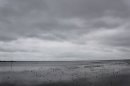 Lac de Grand-Lieu